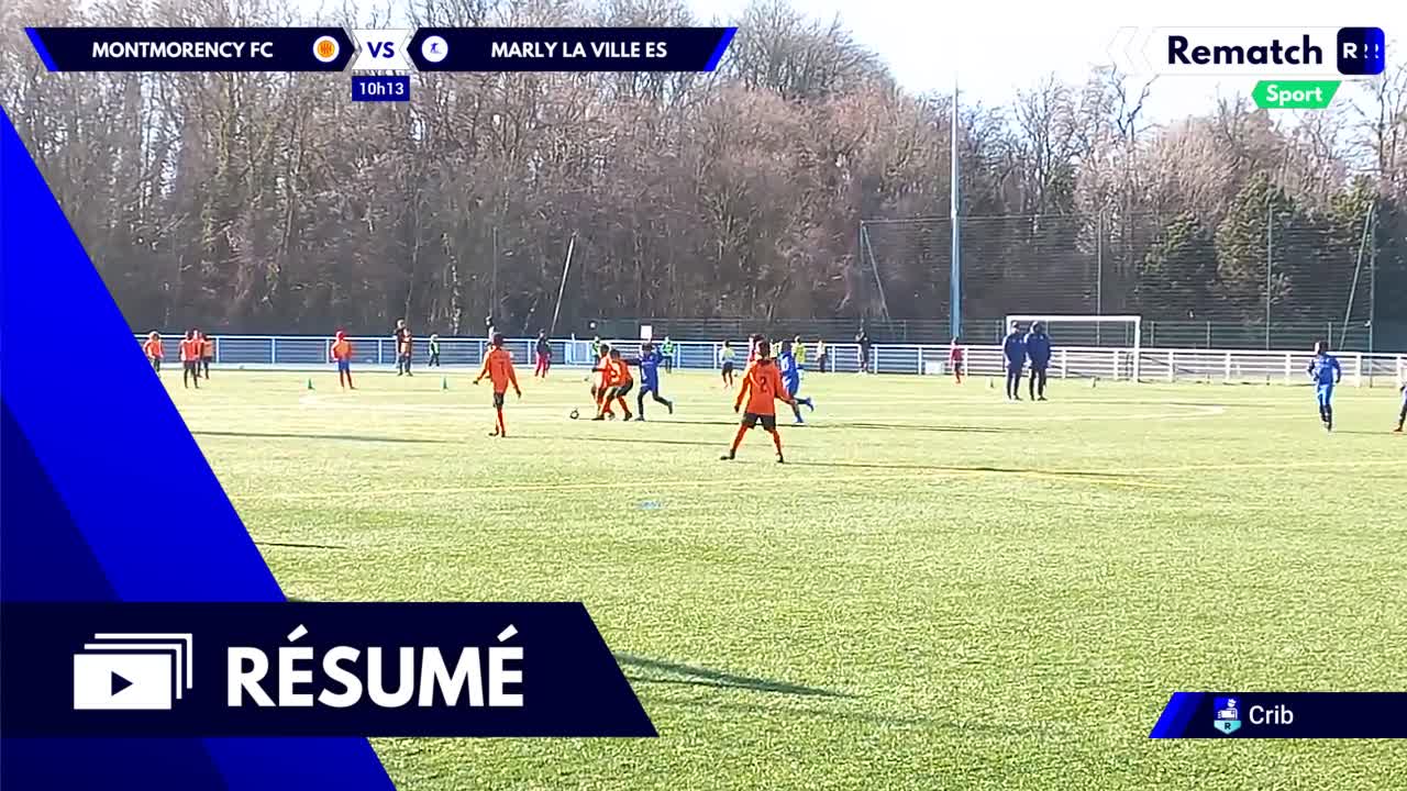 Vignette du résumé