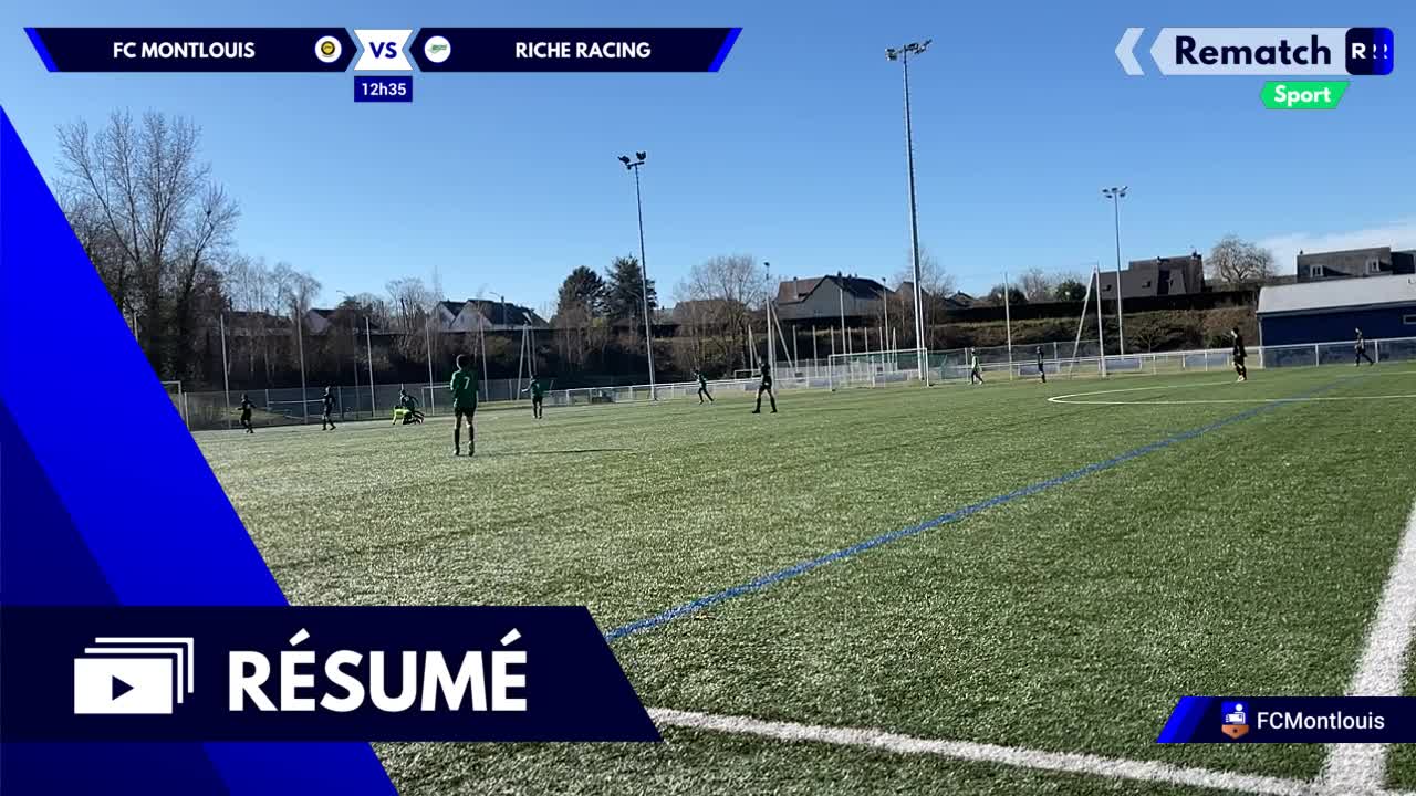 Vignette du résumé