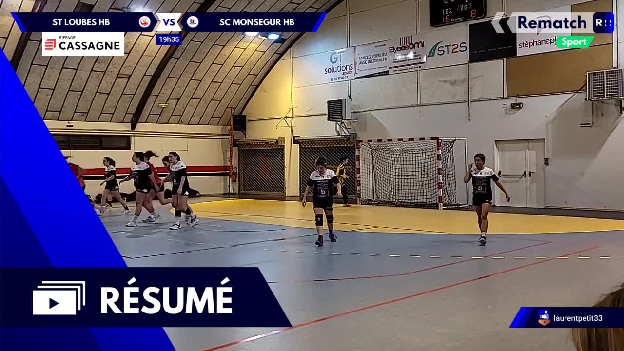 Vignette du résumé
