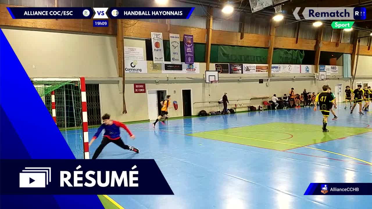Vignette du résumé