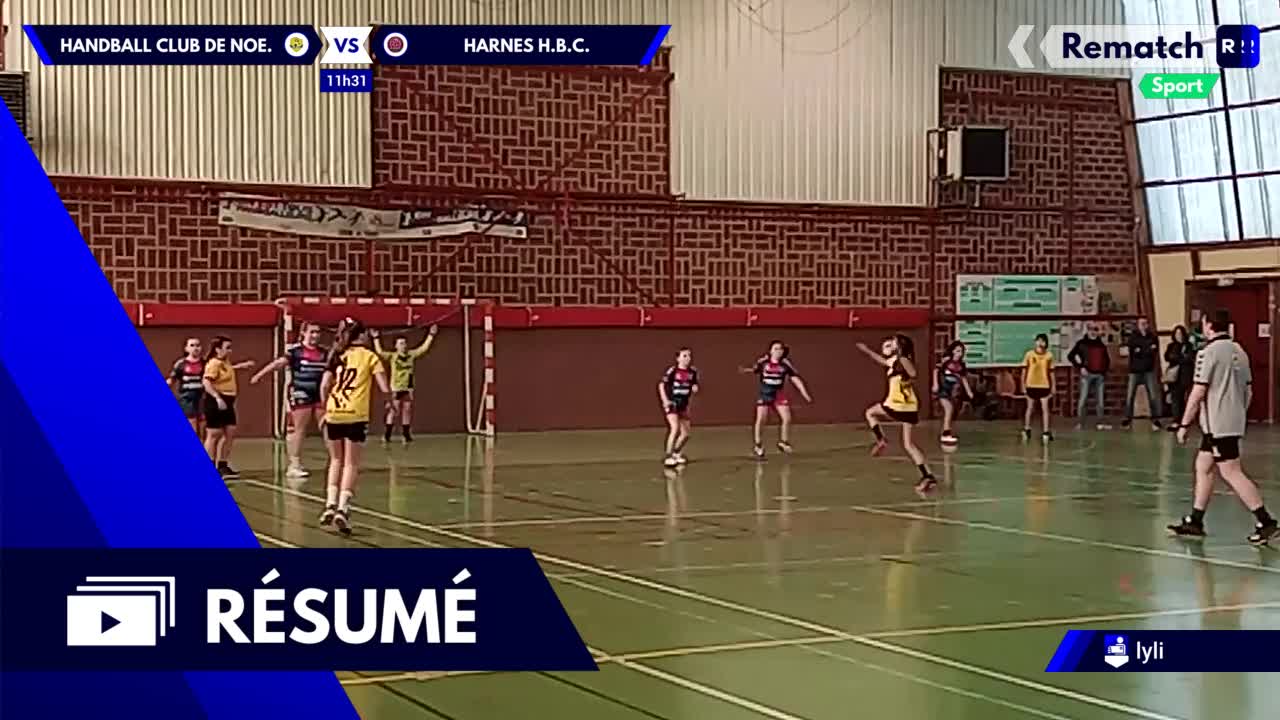 Vignette du résumé