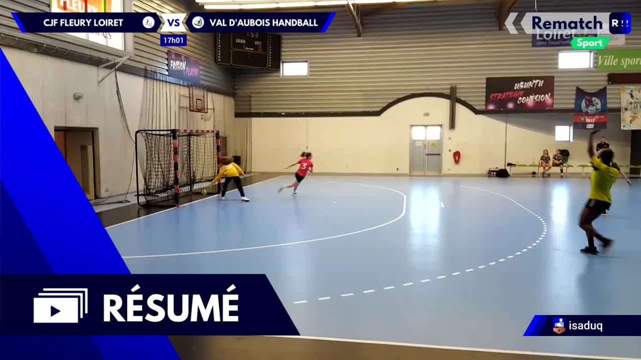 Vignette du résumé