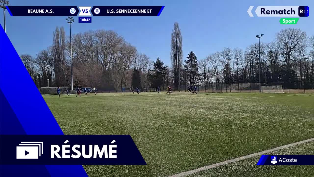 Vignette du résumé