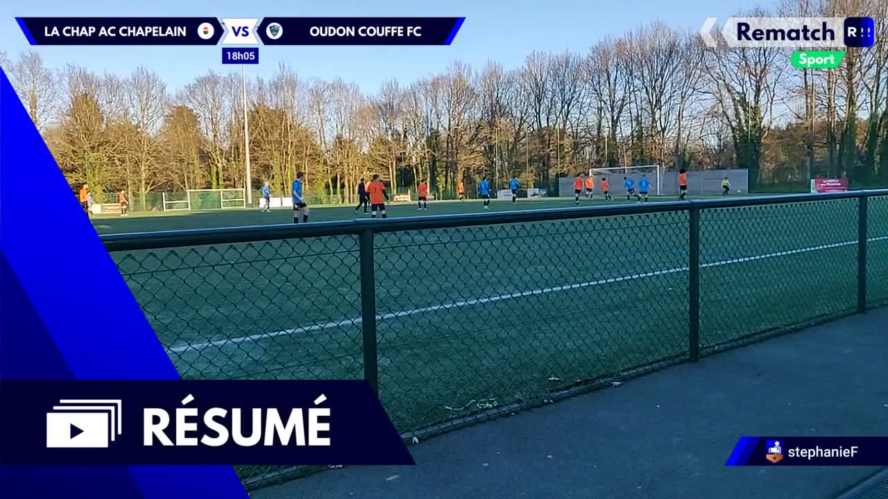 Vignette du résumé
