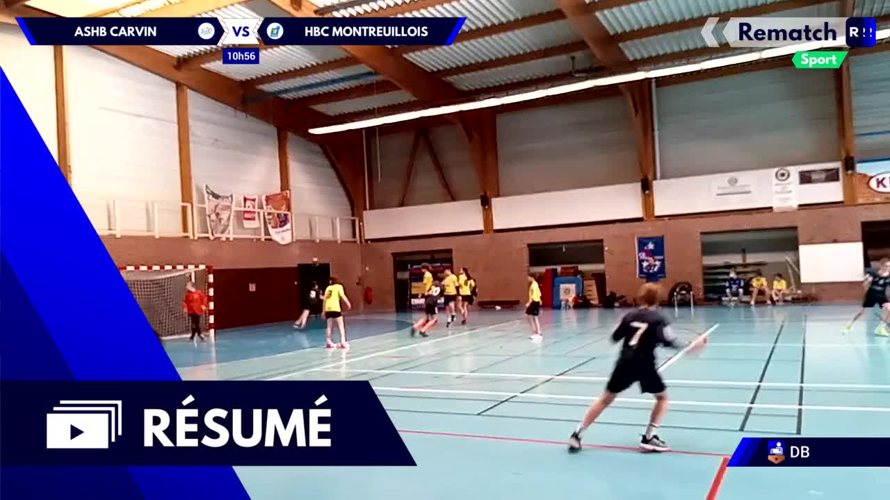 Vignette du résumé