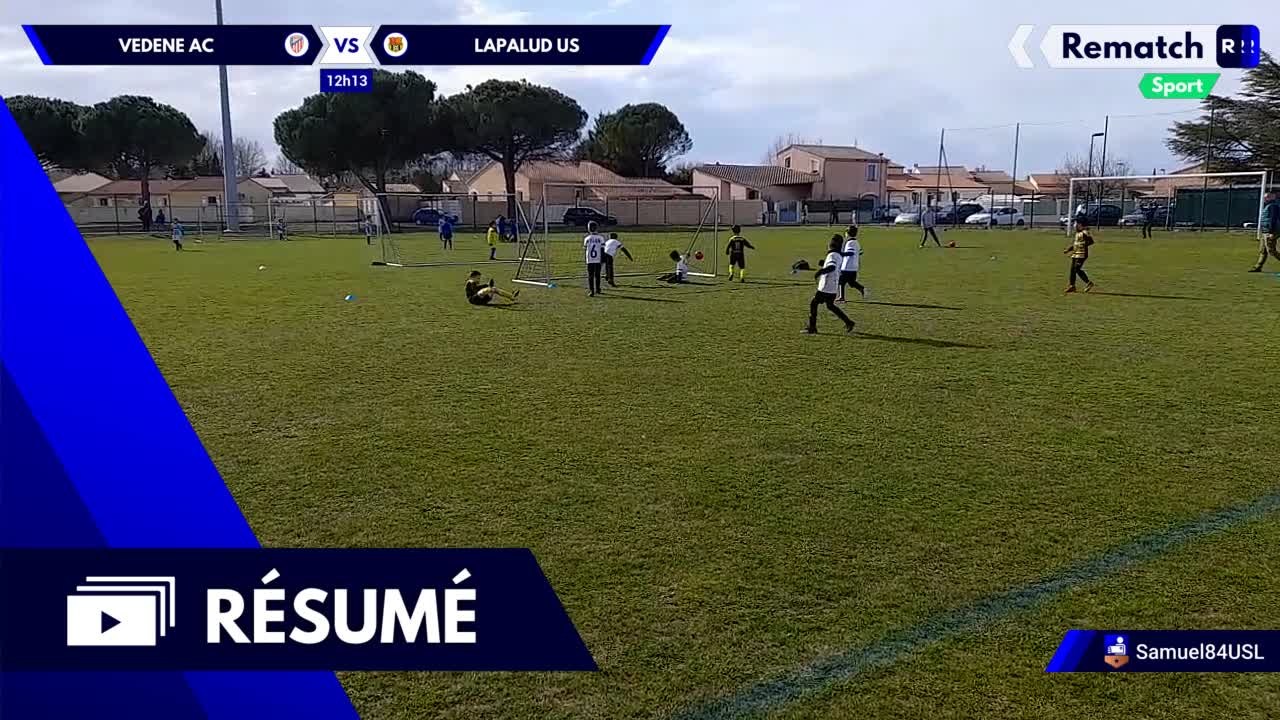 Vignette du résumé