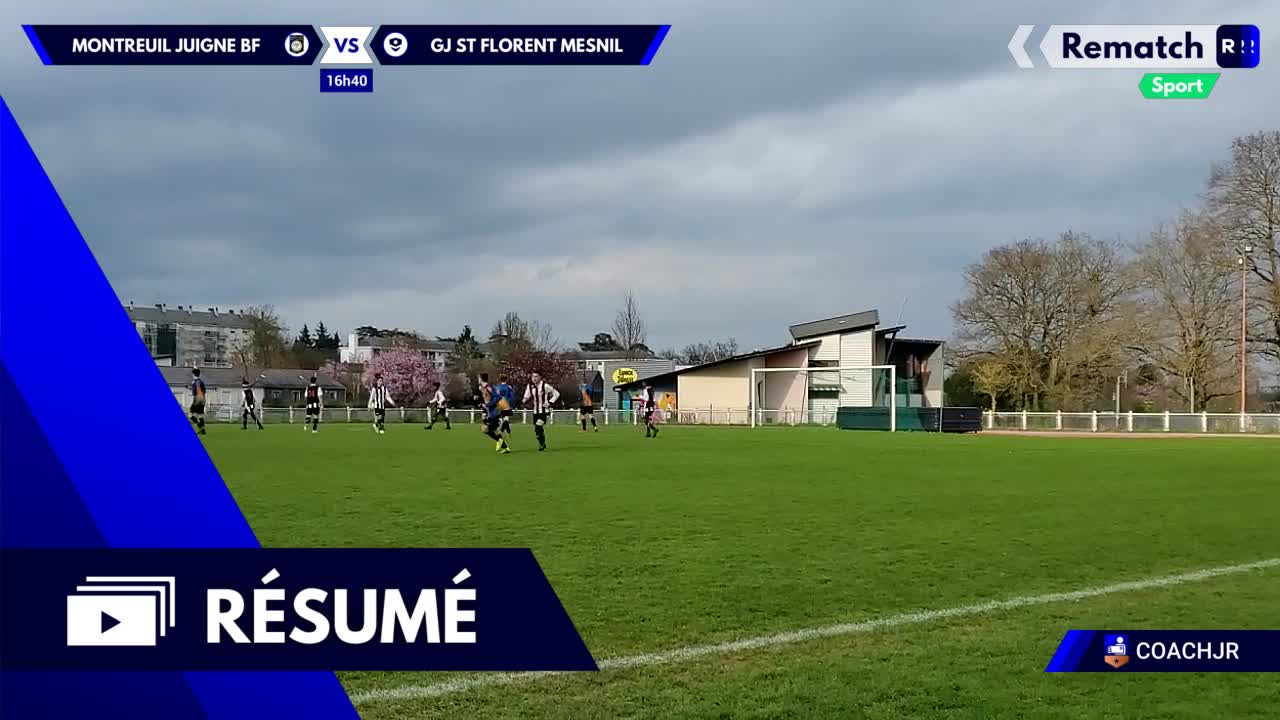 Vignette du résumé