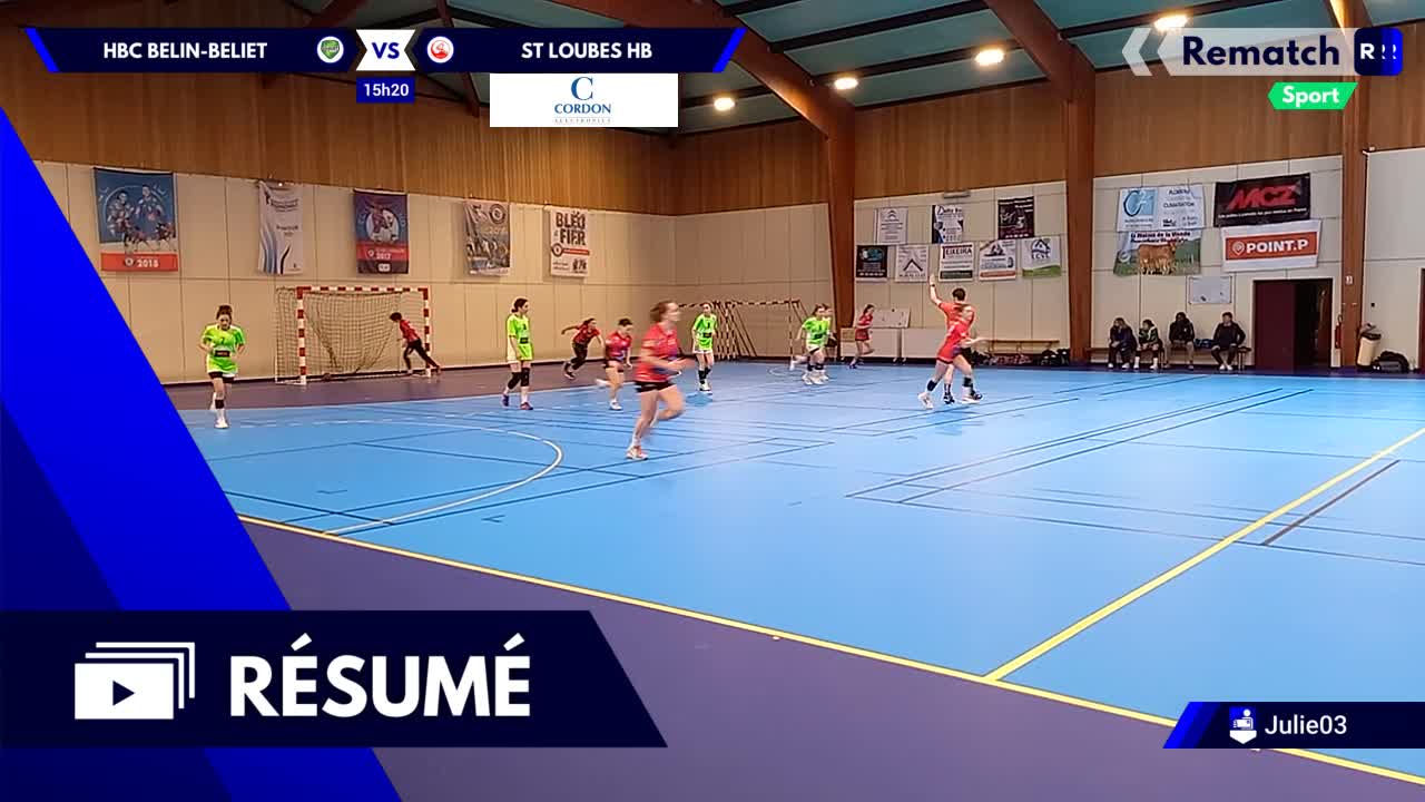 Vignette du résumé