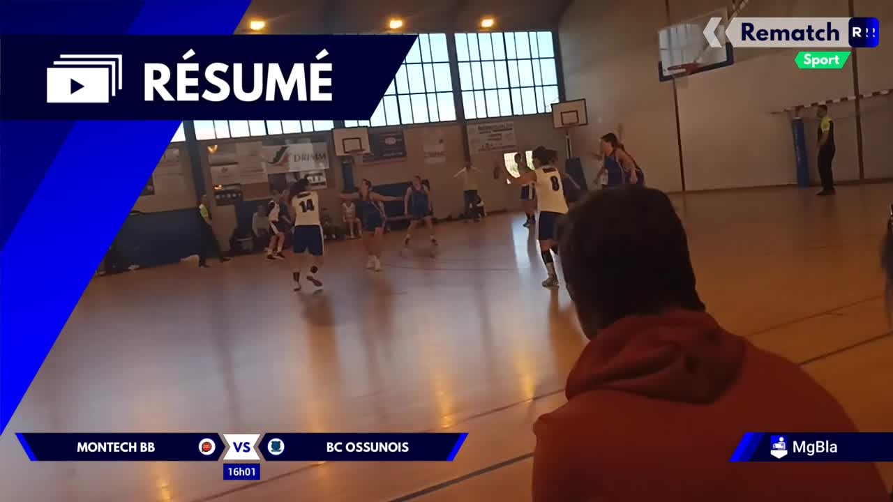 Vignette du résumé