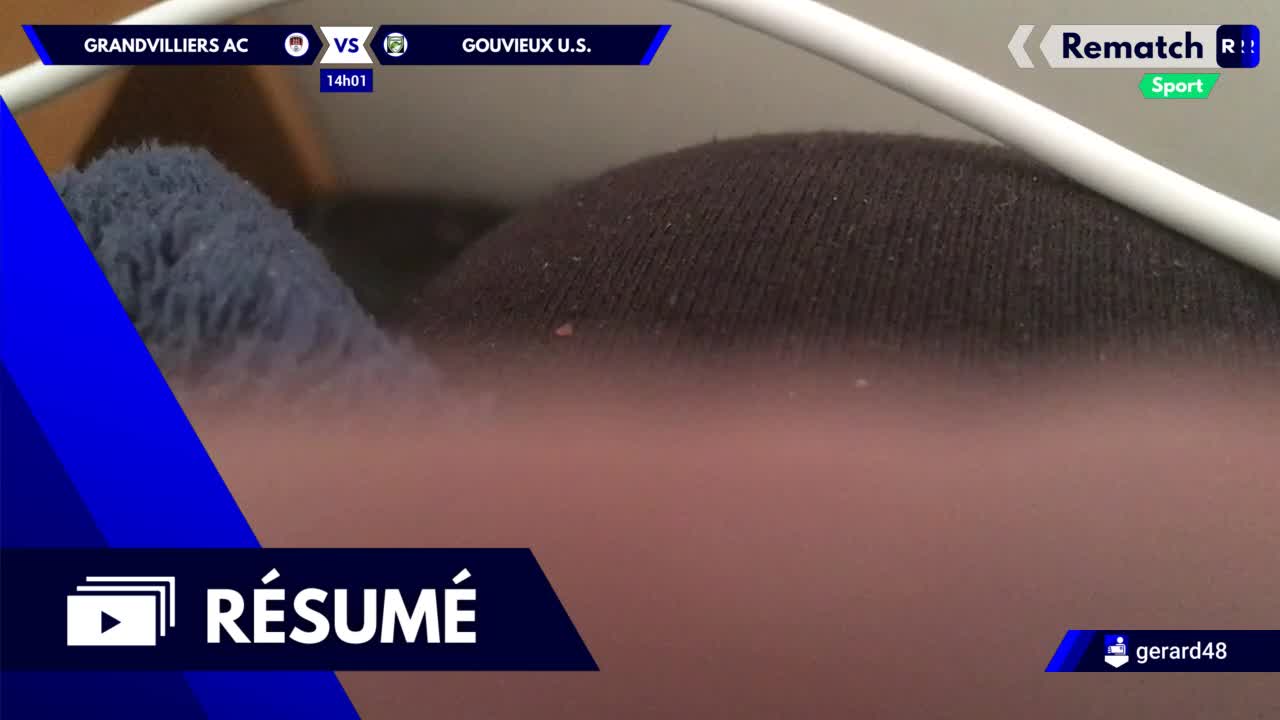 Vignette du résumé