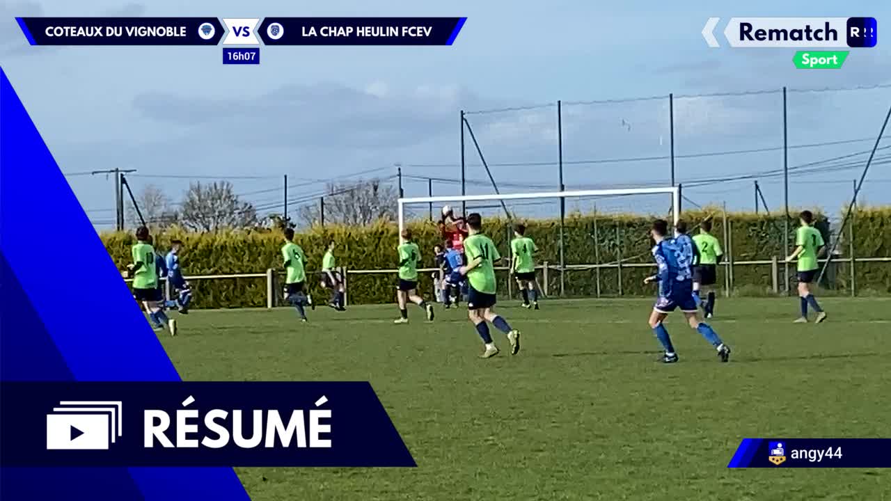 Vignette du résumé