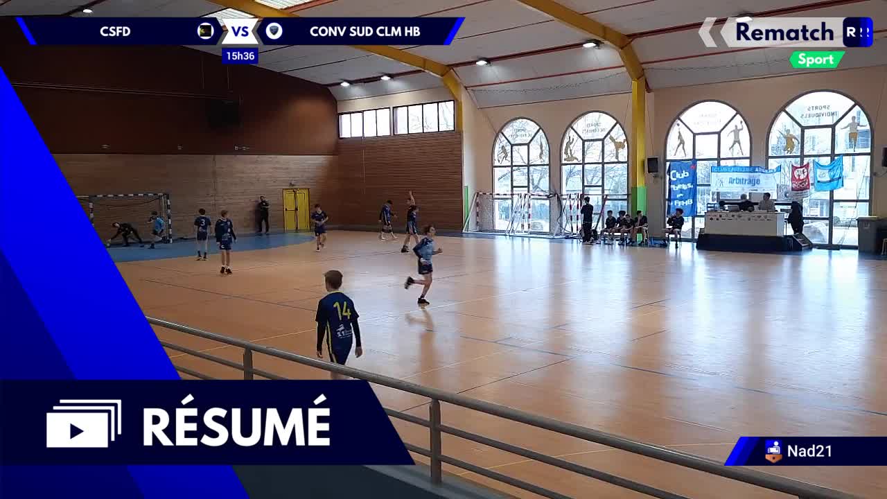 Vignette du résumé