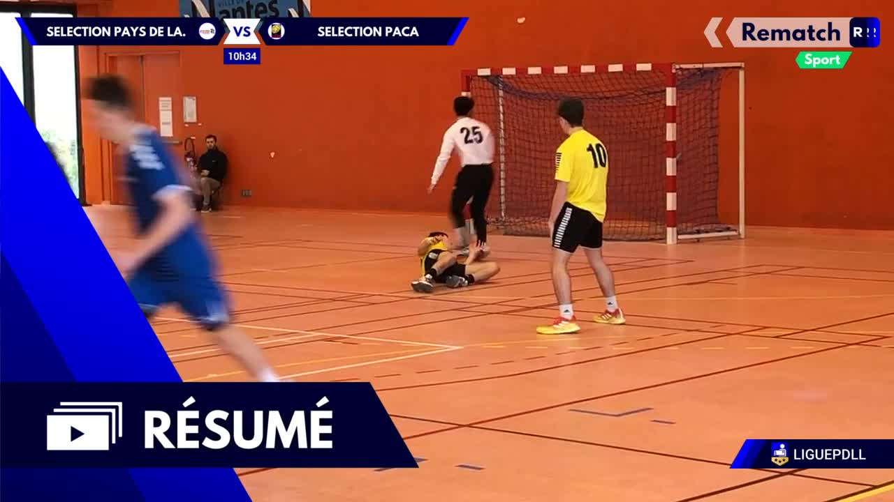 Vignette du résumé