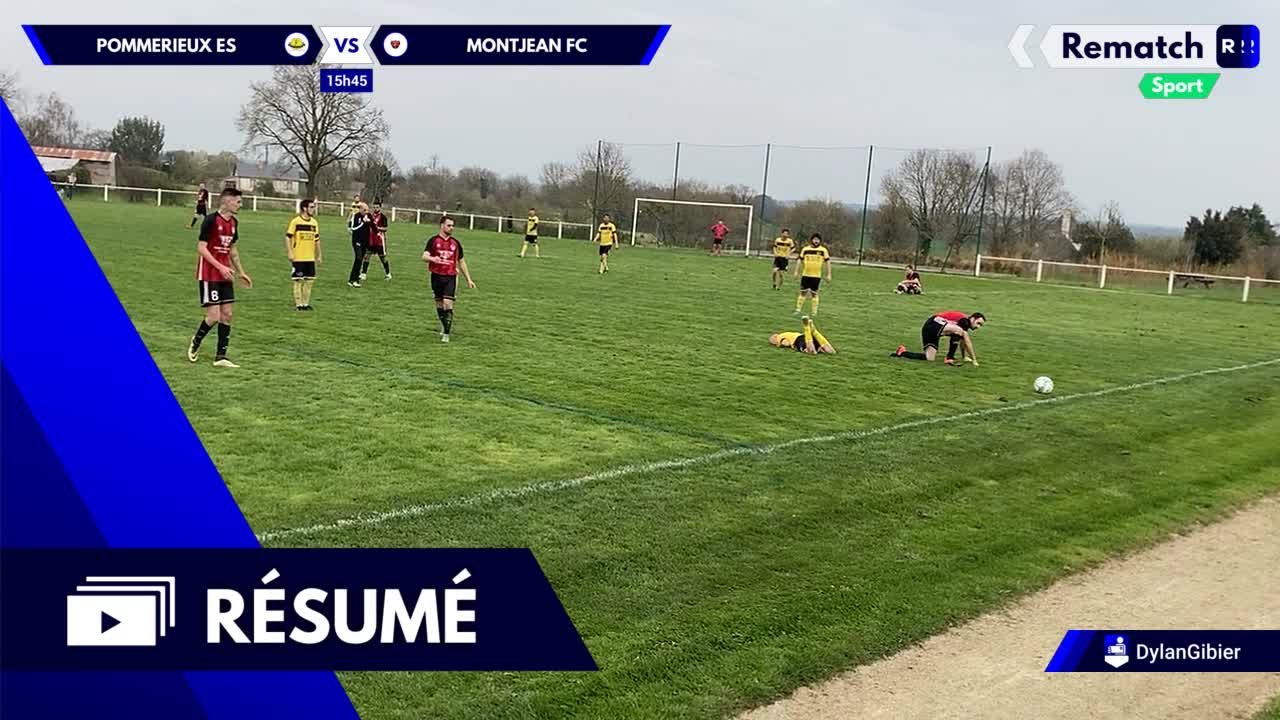 Vignette du résumé