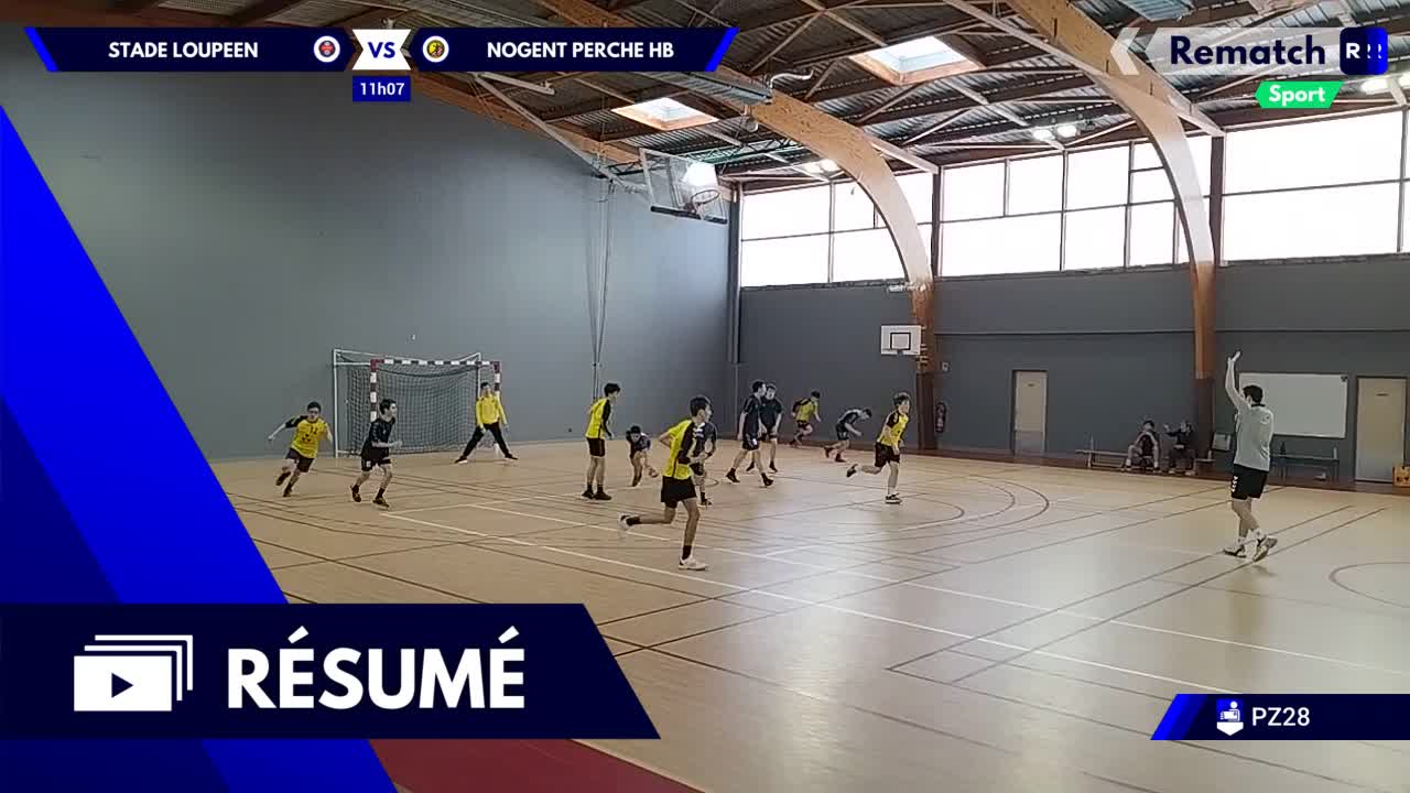 Vignette du résumé