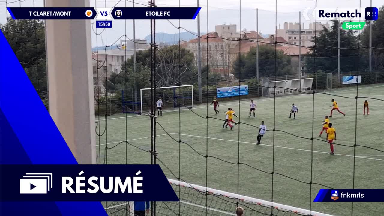 Vignette du résumé