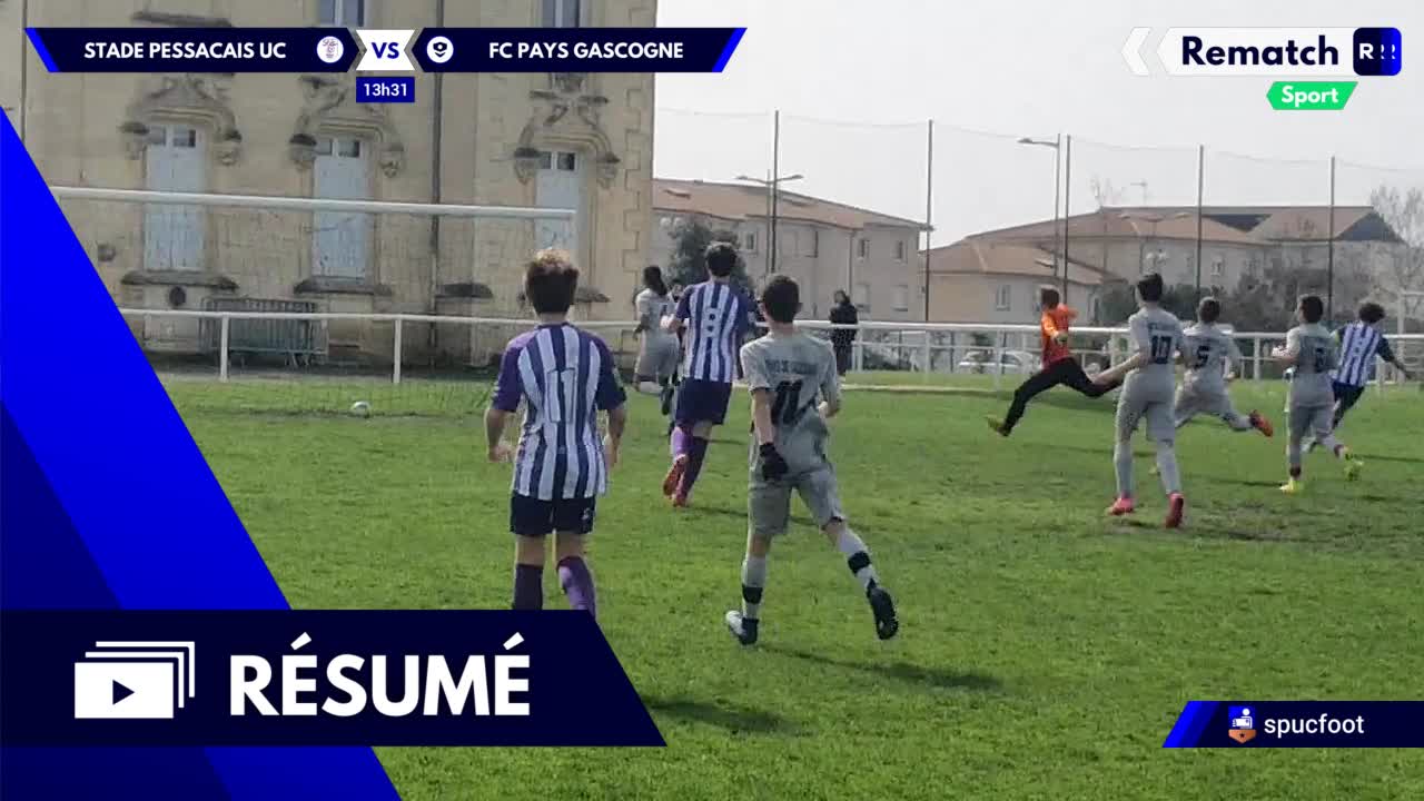 Vignette du résumé