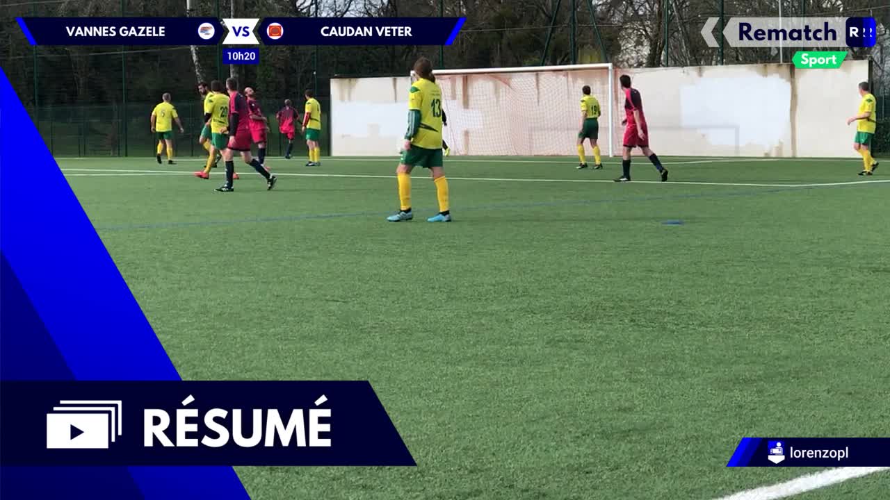 Vignette du résumé