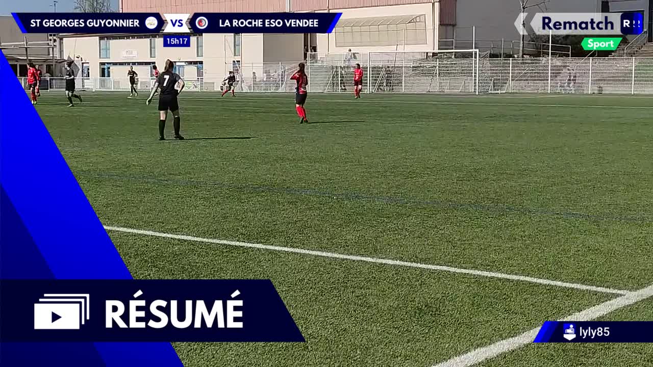 Vignette du résumé