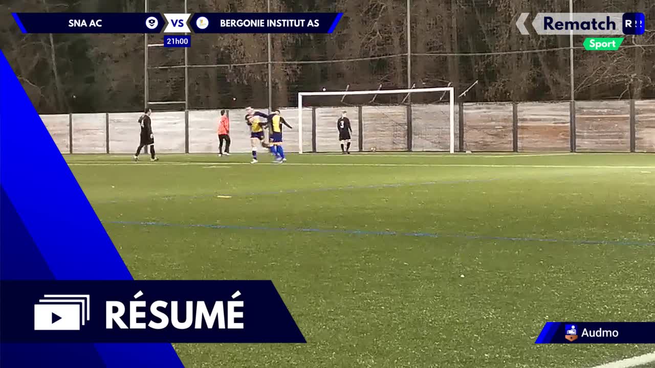 Vignette du résumé