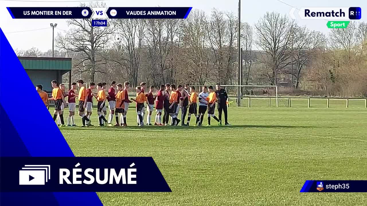 Vignette du résumé