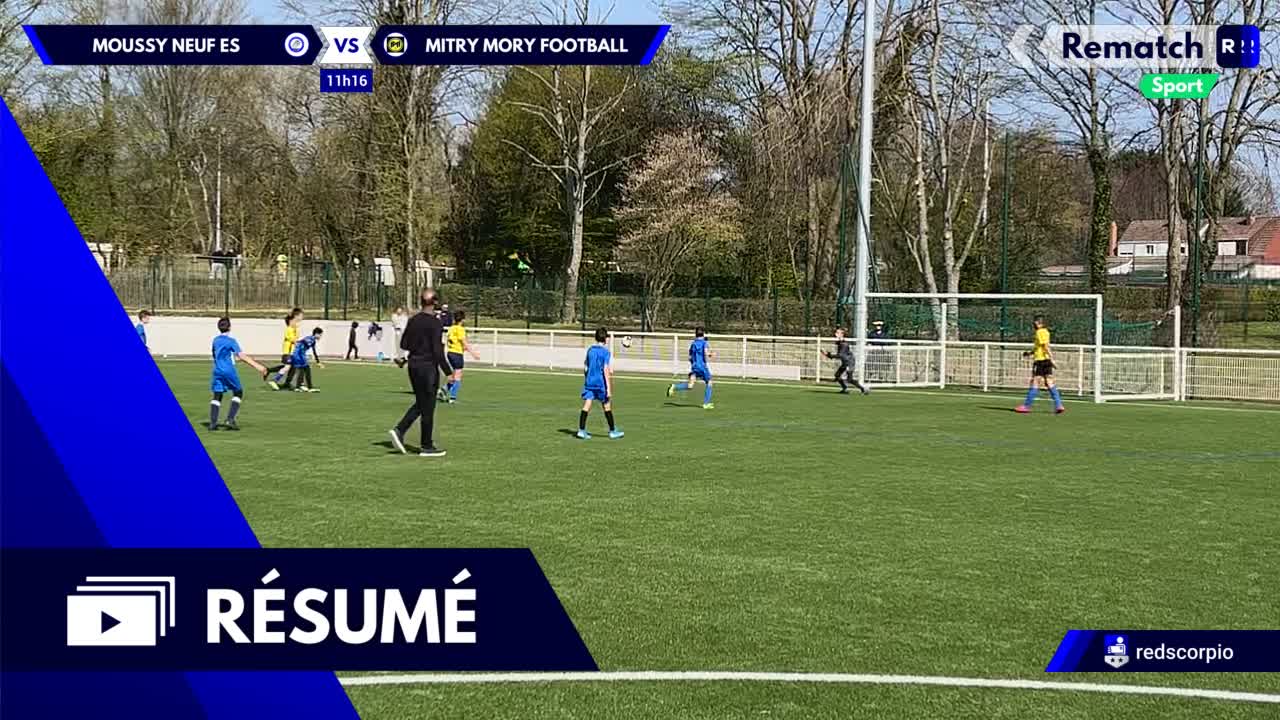 Vignette du résumé