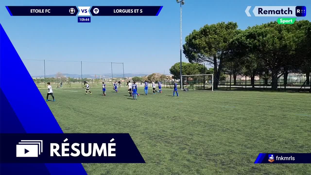 Vignette du résumé