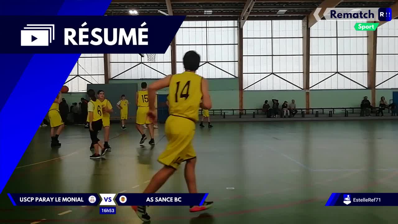 Vignette du résumé