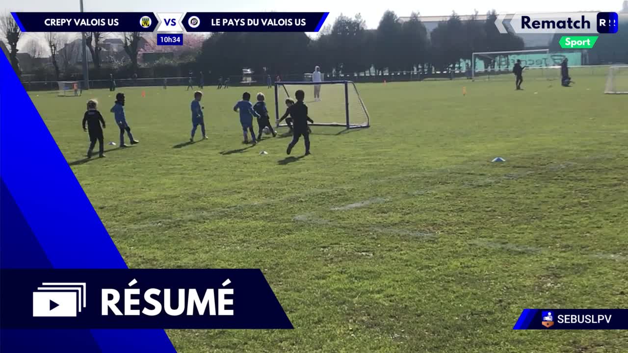 Vignette du résumé