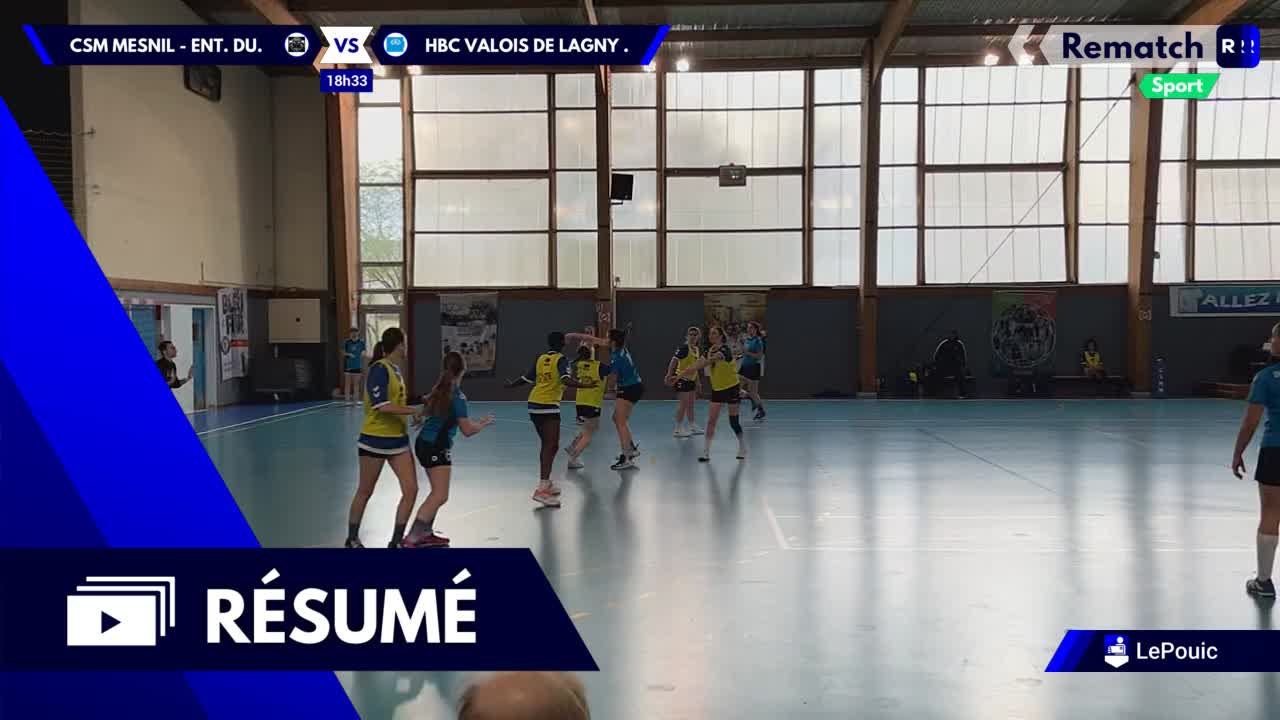 Vignette du résumé