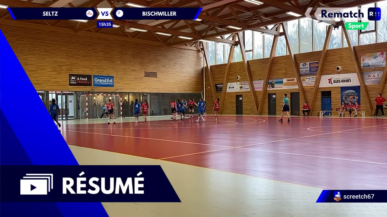 Vignette du résumé