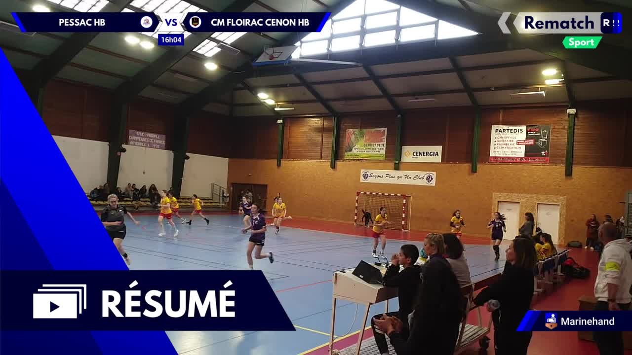 Vignette du résumé