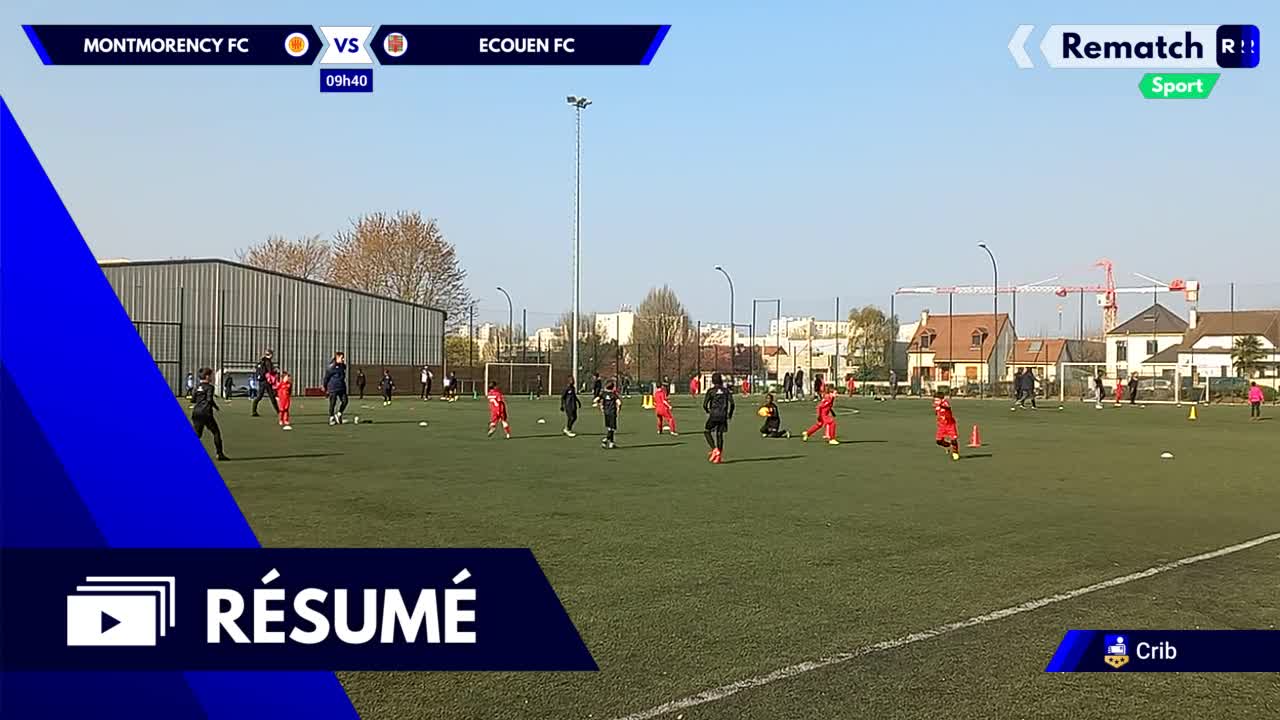Vignette du résumé