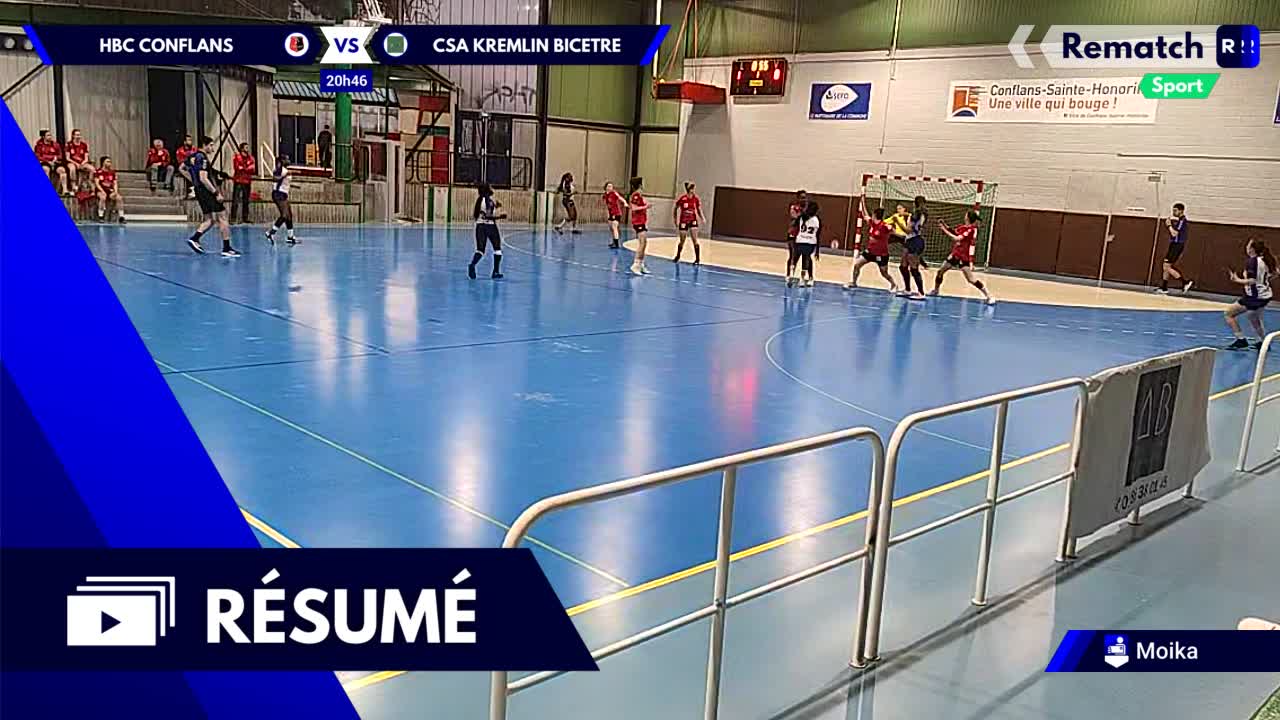 Vignette du résumé