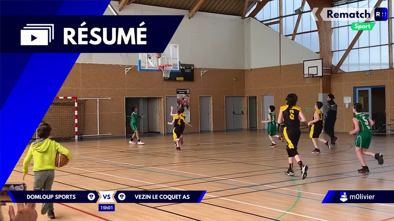 Vignette du résumé