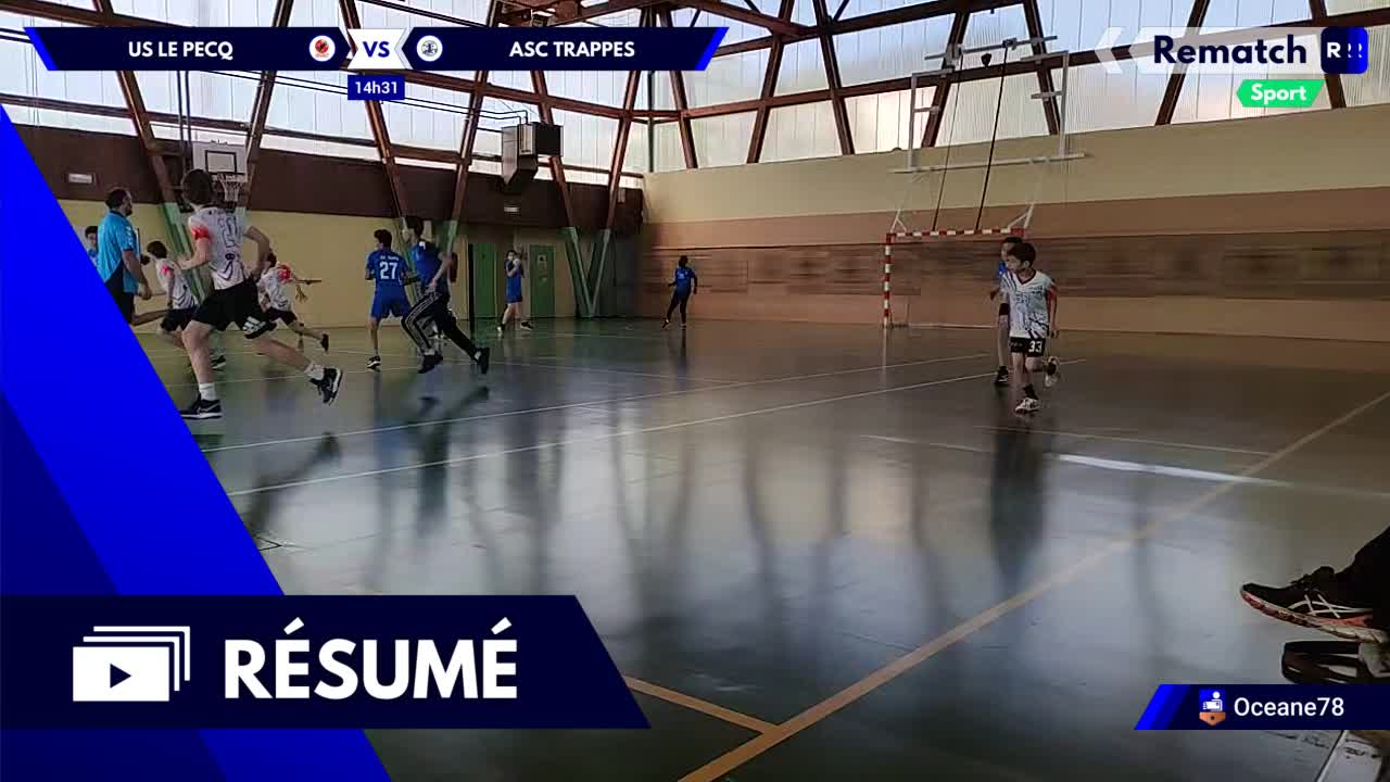 Vignette du résumé