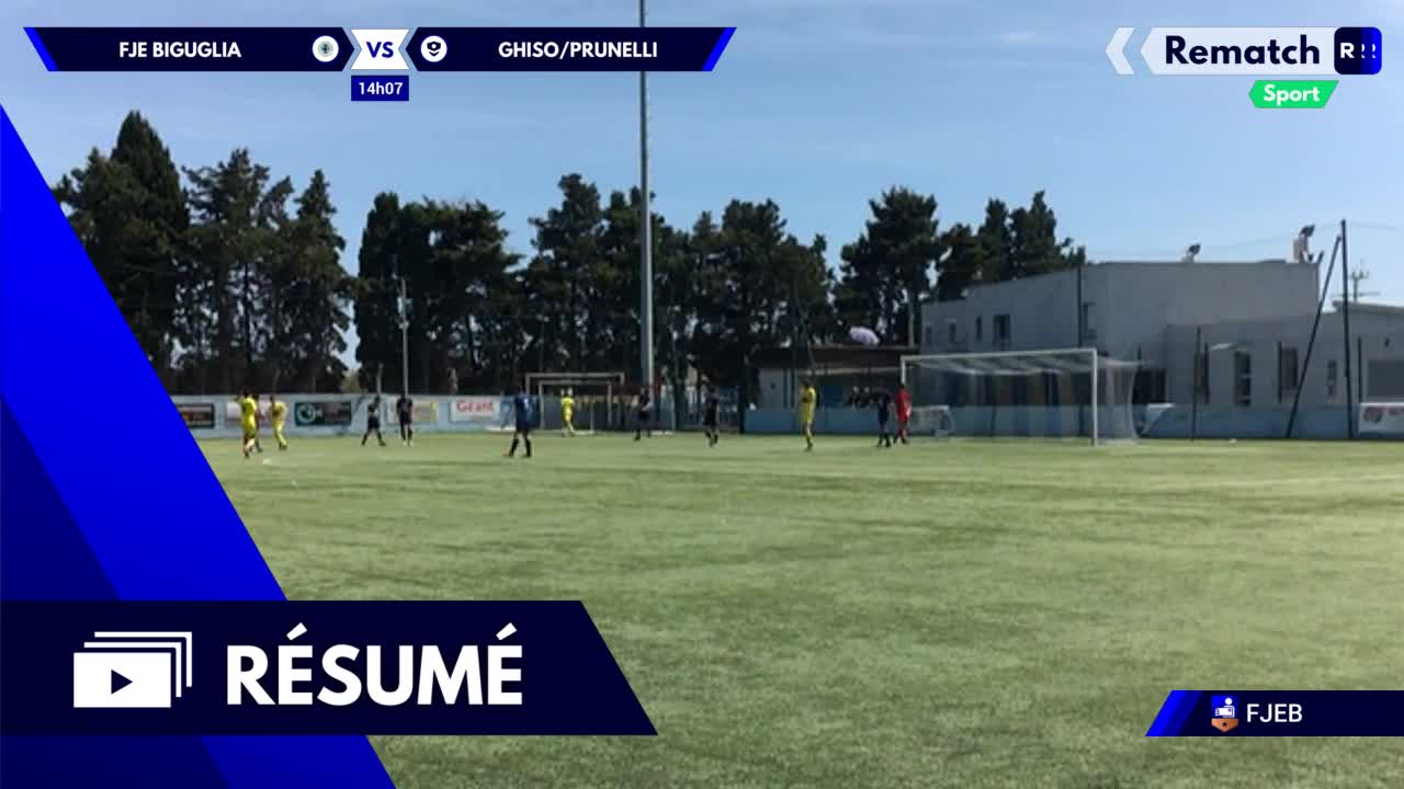 Vignette du résumé