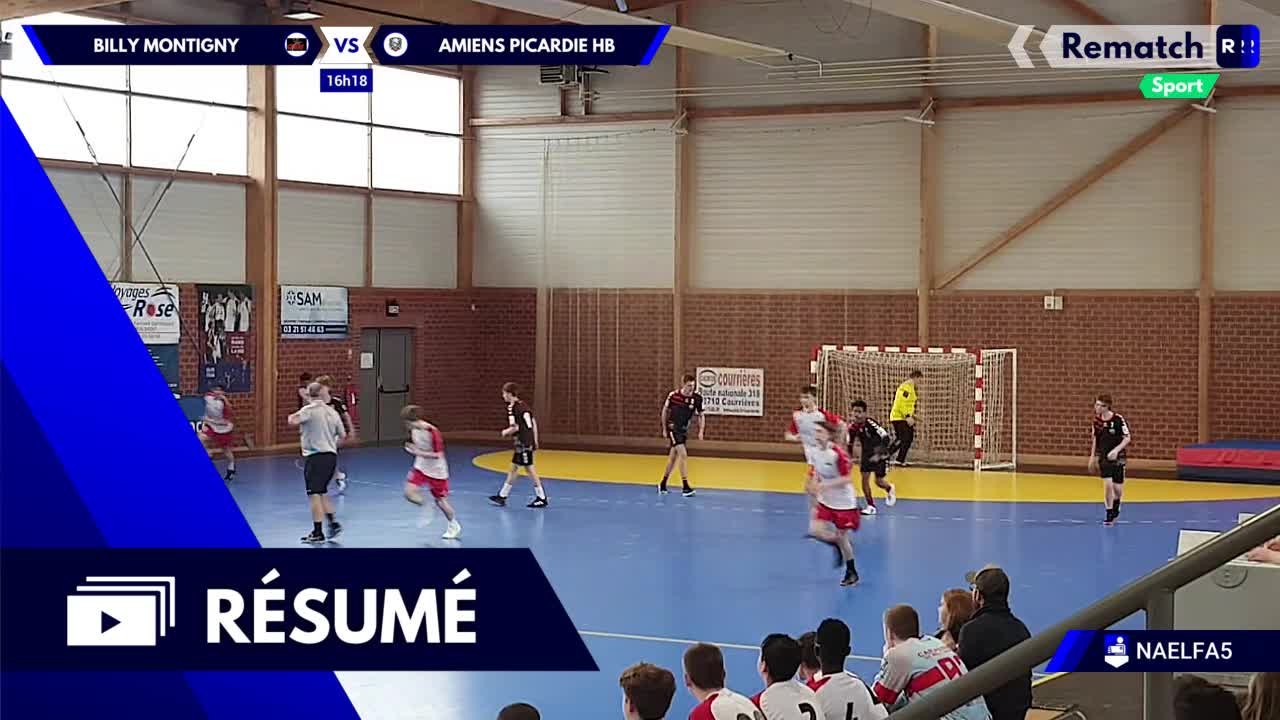 Vignette du résumé