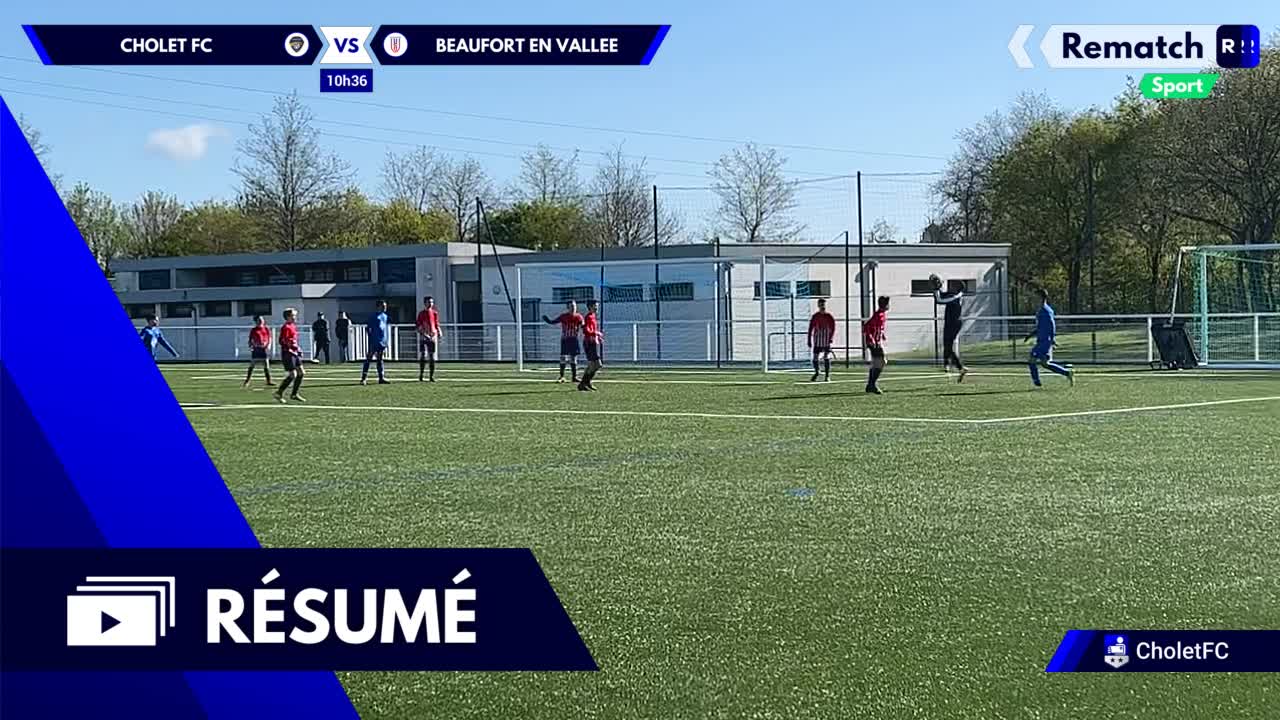 Vignette du résumé