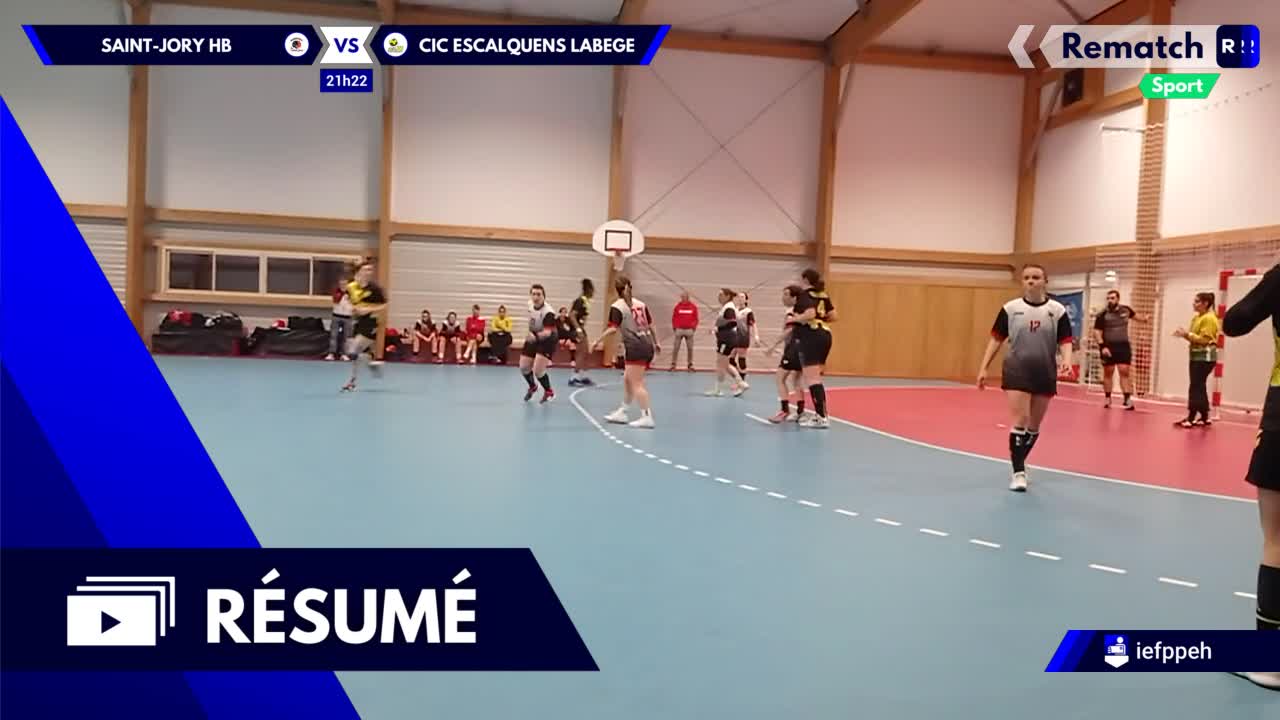 Vignette du résumé