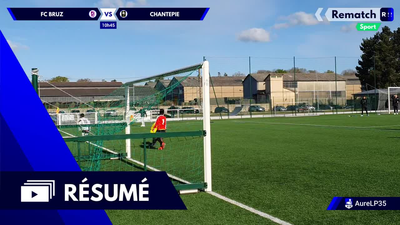 Vignette du résumé