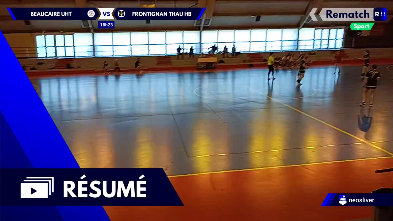 Vignette du résumé