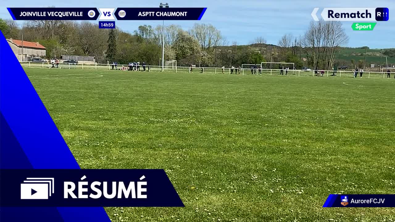 Vignette du résumé