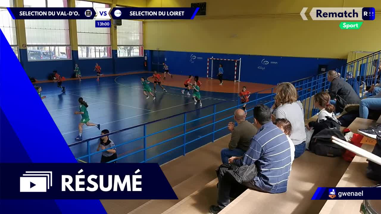 Vignette du résumé