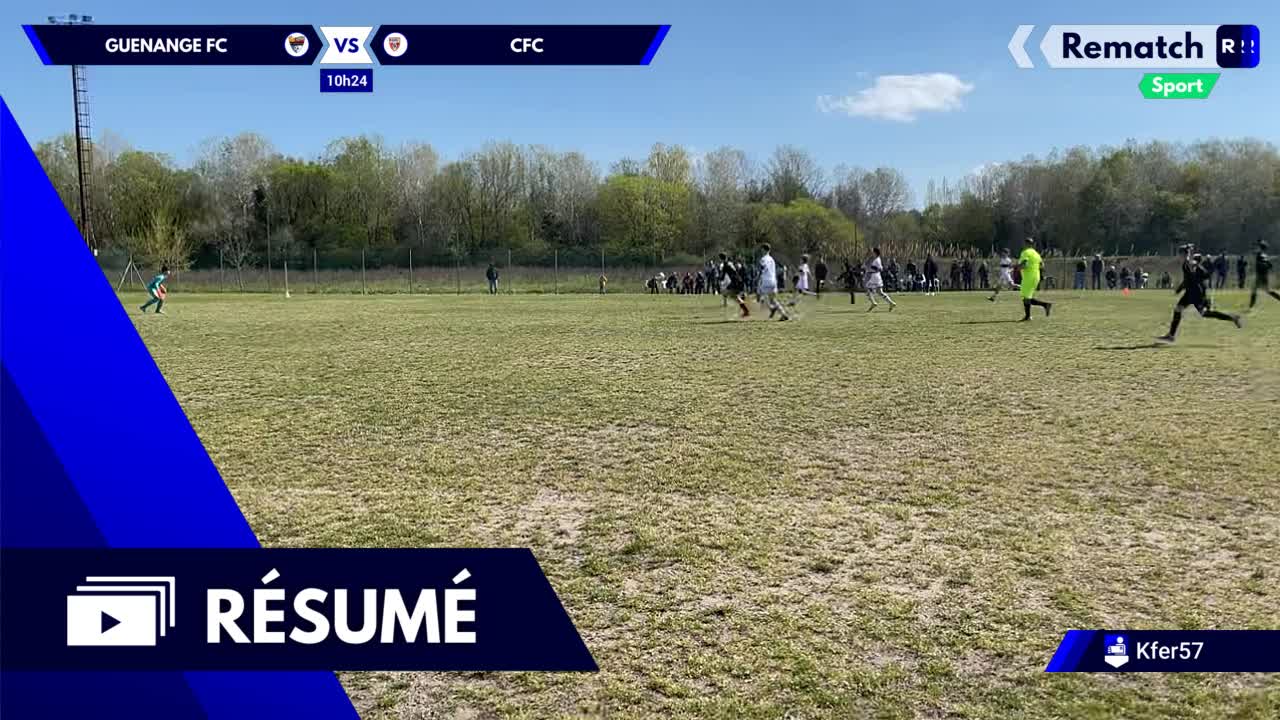 Vignette du résumé