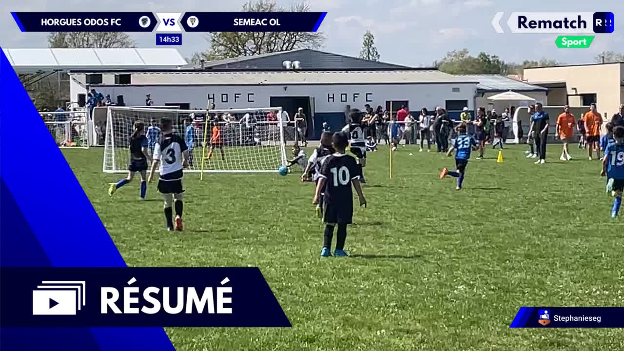 Vignette du résumé