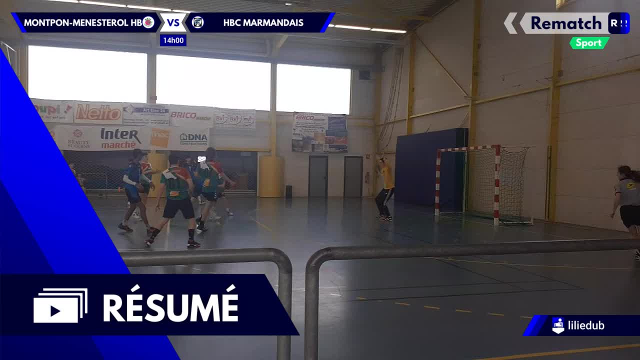 Vignette du résumé