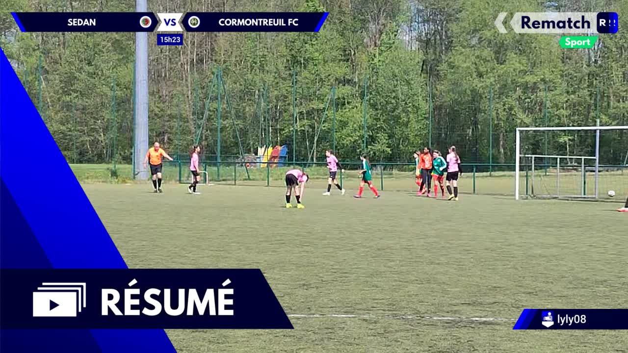 Vignette du résumé