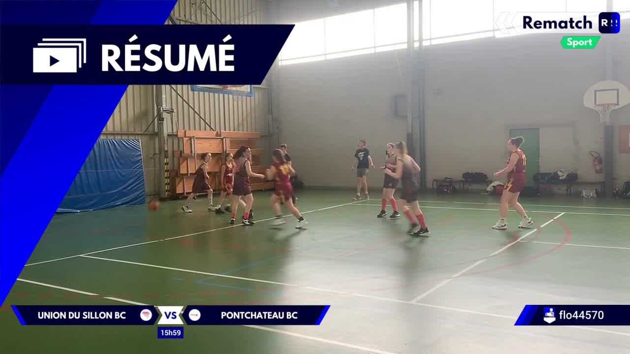 Vignette du résumé