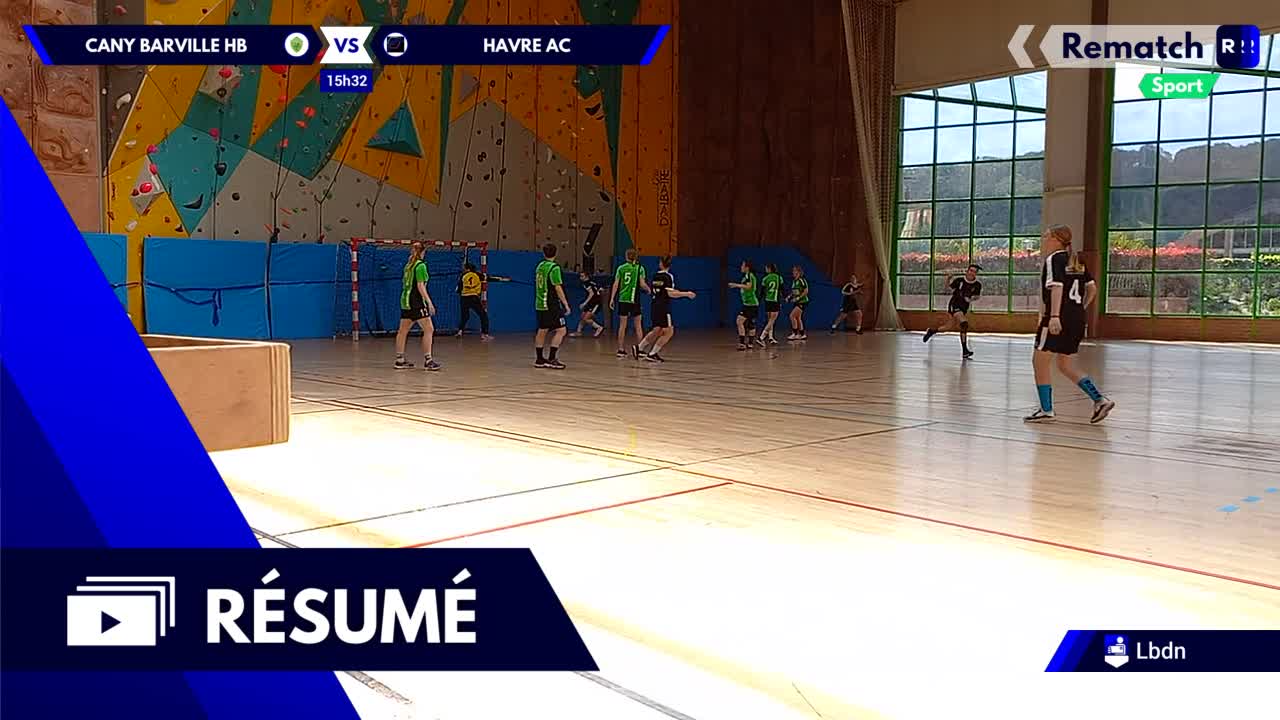 Vignette du résumé